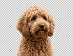 remove_background
